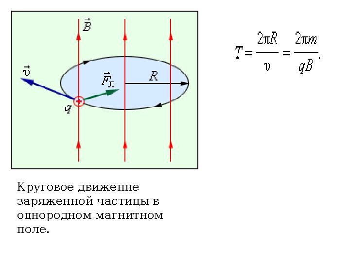 Круговое движение заряженной частицы в однородном магнитном поле.