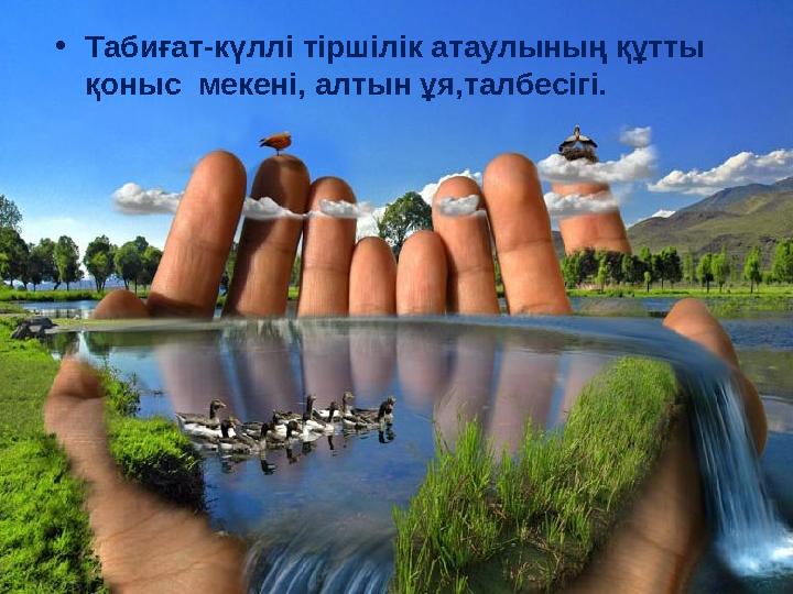 •Табиғат-күллі тіршілік атаулының құтты қоныс мекені, алтын ұя,талбесігі.