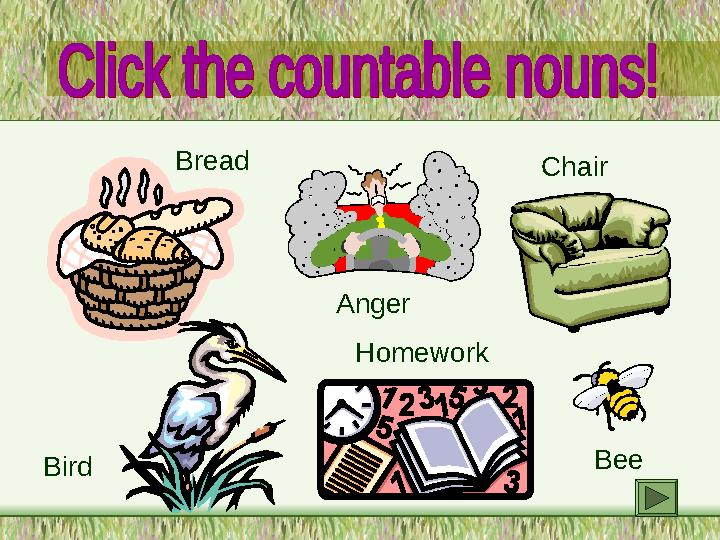 Bread Bird Anger Homework Chair Bee