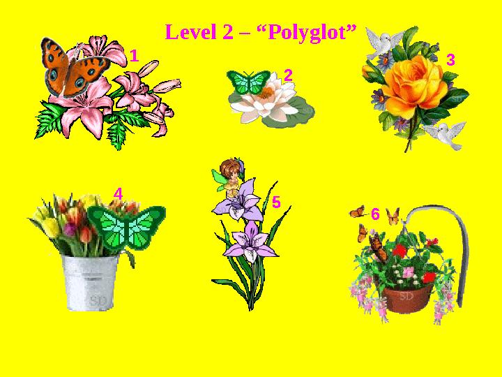 1 2 3 654 Level 2 – “ Polyglot ”