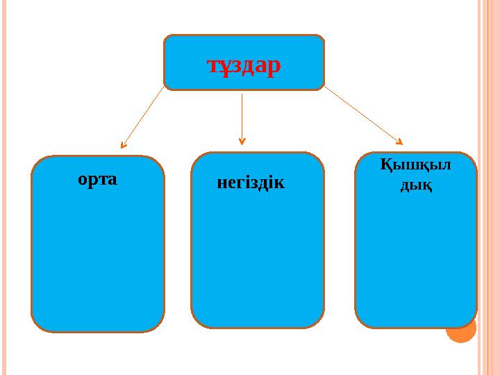 тұздар орта негіздік Қышқыл дық