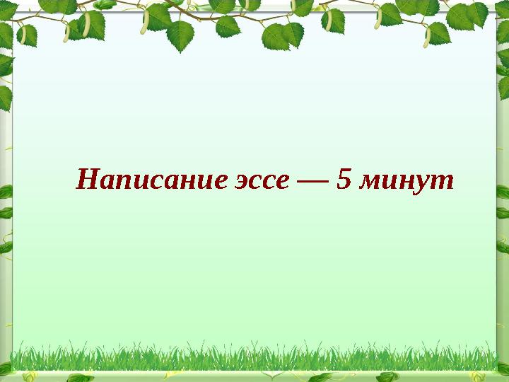 Написание эссе — 5 минут
