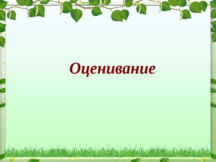 Оценивание