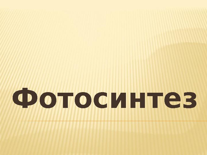 Белладонна анальды порно