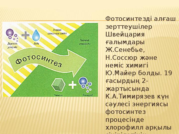 Фотосинтезді алғаш зерттеушілер Швейцария ғалымдары Ж.Сенебье, Н.Соссюр және неміс химигі Ю.Майер болды. 19 ғасырдың 2-