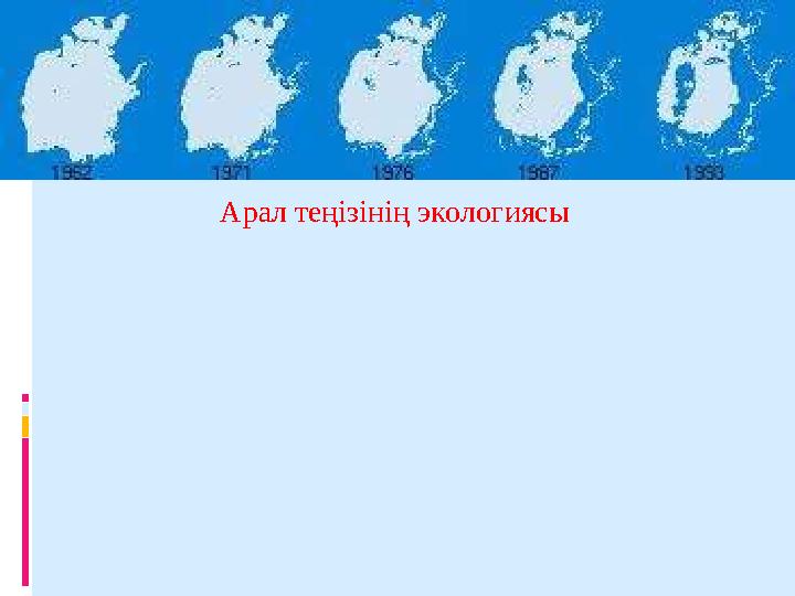 Арал теңізінің экологиясы