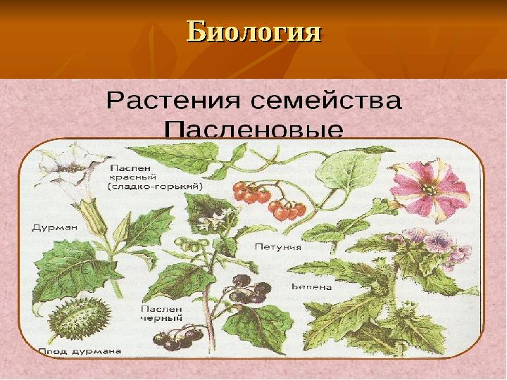 БиологияБиология