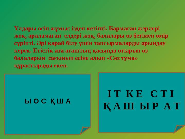 Ұлдары өсіп жұмыс іздеп кетіпті. Бармаған жерлері жоқ, араламаған елдері жоқ, балалары өз бетімен өмір сүріпті. Әрі қарай біл