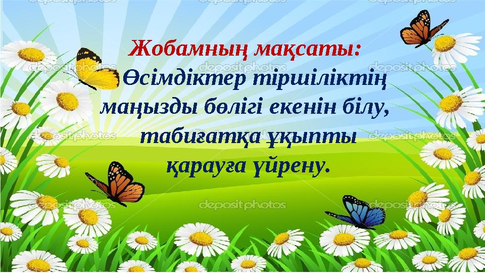 Жобамның мақсаты: Өсімдіктер тіршіліктің маңызды бөлігі екенін білу, табиғатқа ұқыпты қарауға үйрену.