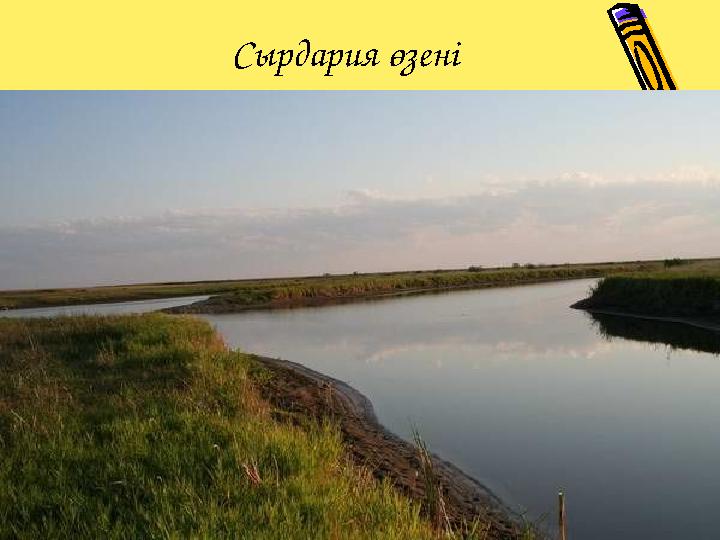 Сырдария өзені