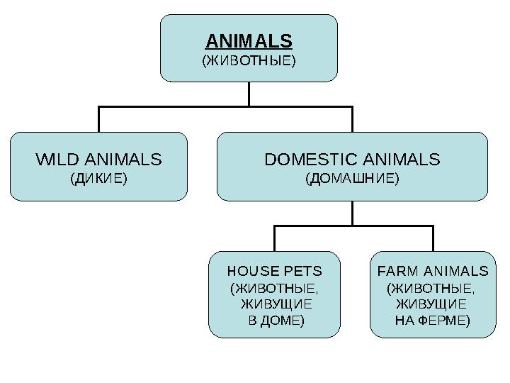 ANIMALS ( ЖИВОТНЫЕ ) WILD ANIMALS (ДИКИЕ) DOMESTIC ANIMALS (ДОМАШНИЕ) HOUSE PETS (ЖИВОТНЫЕ, ЖИВУЩИЕ В ДОМЕ) FARM ANIMALS