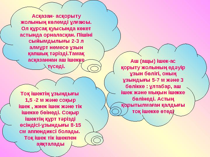 Асқазан- асқорыту жолының көлемді ұлғаюы. Ол құрсақ қуысында көкет астында орналасқан. Пішіні сыйымдылығы 2-3 л алмұрт неме