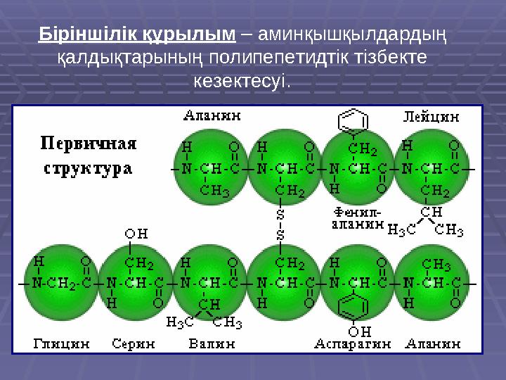 Біріншілік құрылым – аминқышқылдардың қалдықтарының полипепетидтік тізбекте кезектесуі.