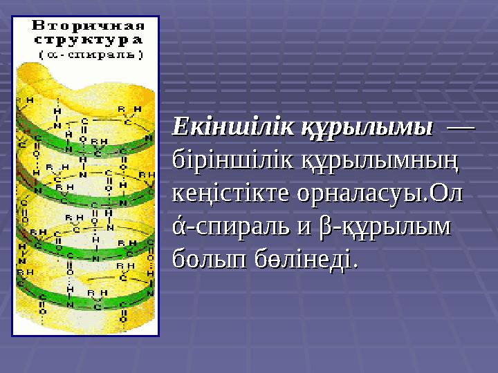 Екіншілік құрылымы Екіншілік құрылымы —— біріншілік құрылымның біріншілік құрылымның кеңістікте орналасуы.Ол кеңістікте о