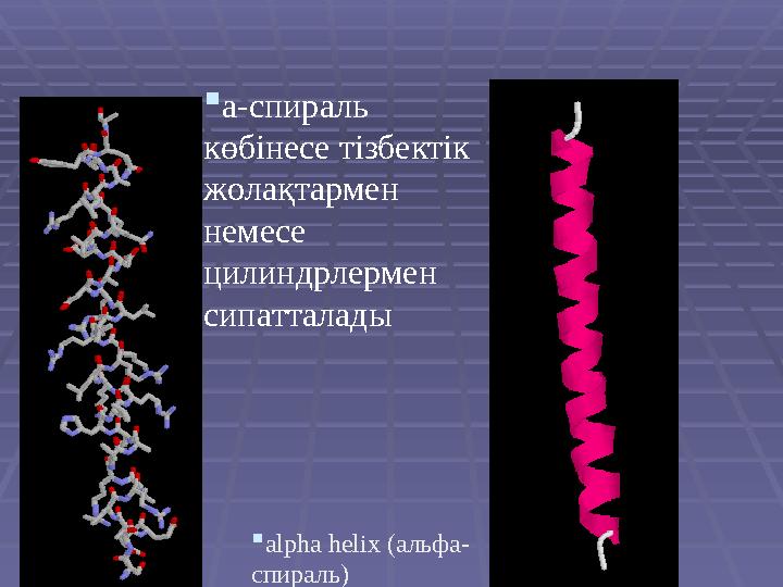  alpha helix (альфа- спираль) a-спираль көбінесе тізбектік жолақтармен немесе цилиндрлермен сипатталады