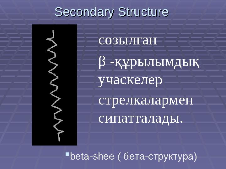 Secondary StructureSecondary Structure  beta-shee ( бета-структура)созылған β -құрылымдық учаскелер стрелкалармен си