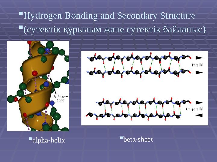  Hydrogen Bonding а nd Secondary Structure  (сутект ік құрылым және сутектік байланыс )  alpha-helix  beta-sheet