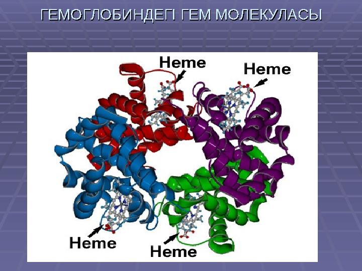 ГЕМОГЛОБИНДЕГІ ГЕМ МОЛЕКУЛАСЫГЕМОГЛОБИНДЕГІ ГЕМ МОЛЕКУЛАСЫ