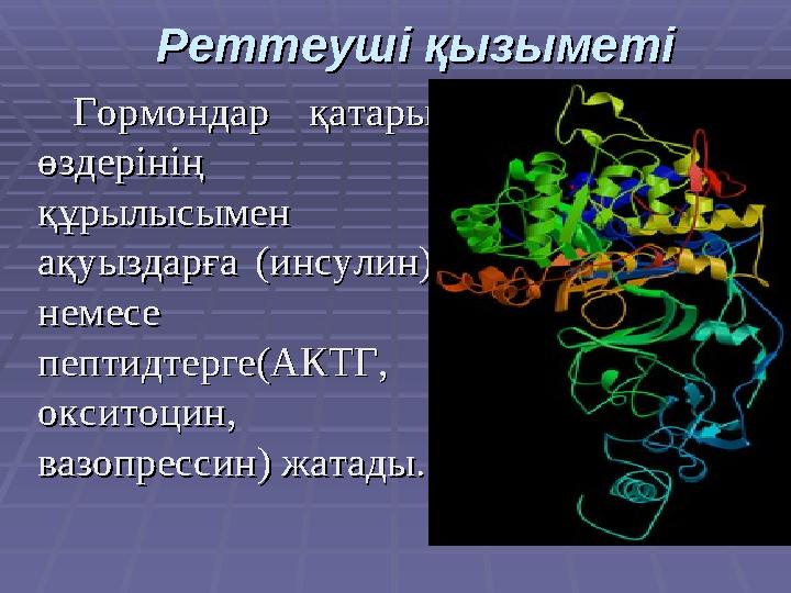 Гормондар қатары Гормондар қатары өздерінің өздерінің құрылысымен құрылысымен ақуыздарға (инсулин) ақуыздарға (инсулин