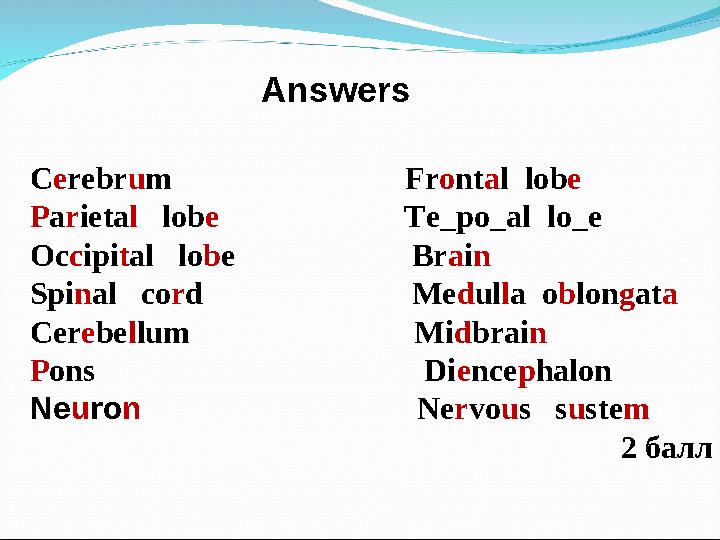 Сerebrum Frontal lobe Parietal lobe Te_po_al lo_e Occipital lobe