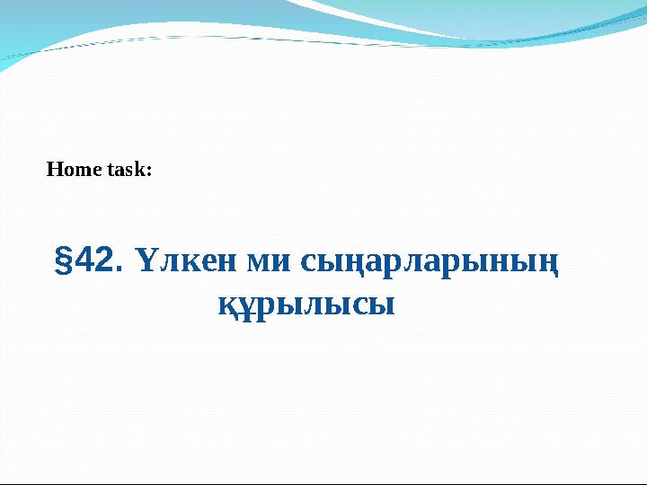 Home task: §42. Үлкен ми сыңарларының құрылысы