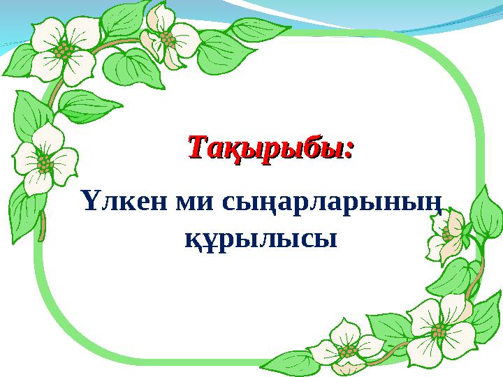 Тақырыбы:Тақырыбы: Үлкен ми сыңарларының құрылысы