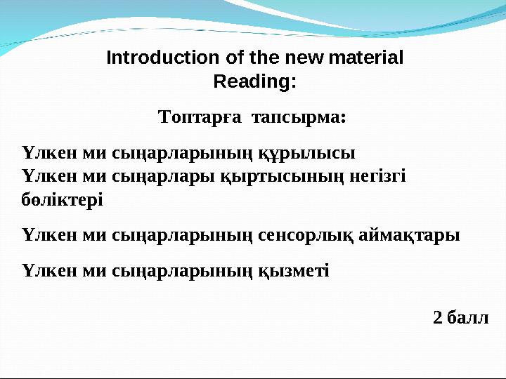 Introduction of the new material Reading: Топтарға тапсырма: Үлкен ми сыңарларының құрылысы Үлкен ми сыңарлары қыртысының негі