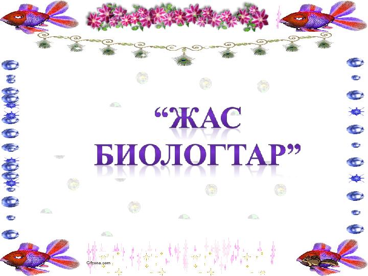 Транс леди, оның есек суретінде мүшесі бар