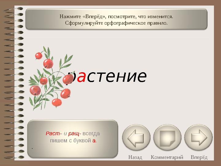 Раст- и ращ- всегда пишем с буквой а. . Назад Комментарий ВперёдНажмите «Вперёд», посмотрите, что изменится. Сформулиру