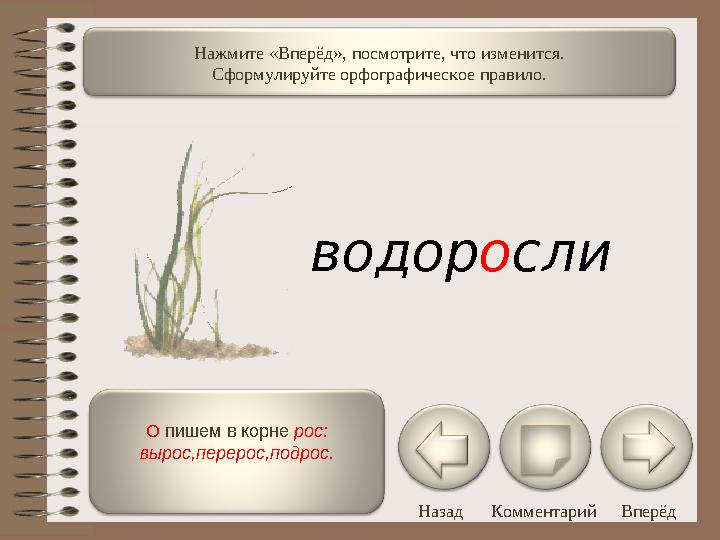 О пишем в корне рос: вырос,перерос,подрос. Назад Комментарий ВперёдНажмите «Вперёд», посмотрите, что изменится. Сформулируйте