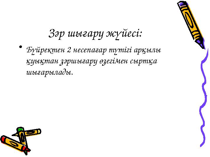 Зәр шығару жүйесі: • Бүйректен 2 несепағар түтігі арқылы қуықтан зәршығару өзегімен сыртқа шығарылады.