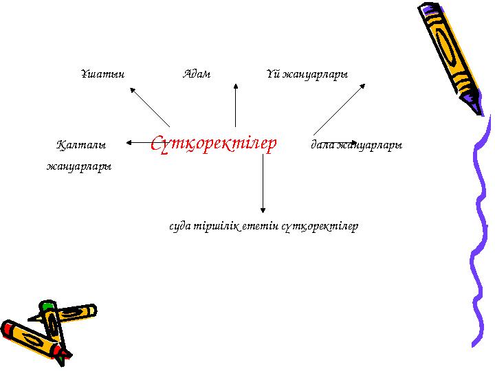 Ұшатын Адам Үй жануарлары Қалталы Сүтқоректілер дала жа