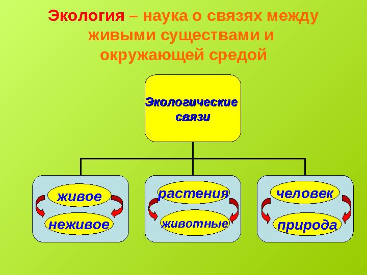 Экология – наука о связях между живыми существами и окружающей средой Экологические Экологические связисвязи живое неживое ж