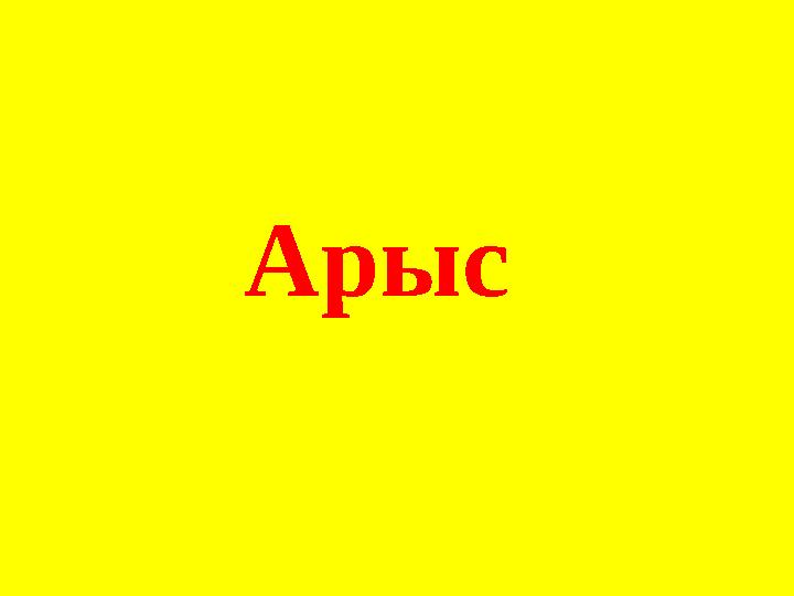 Арыс