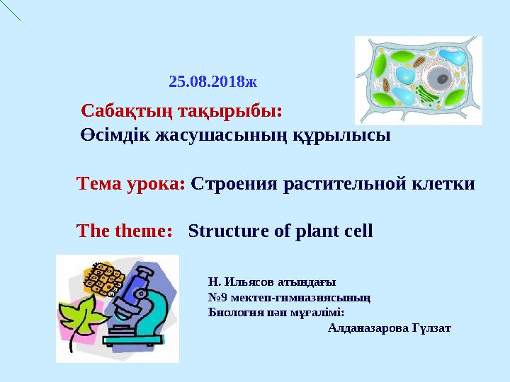 Сперматозоидпен жабылған кисканың үлкен пландағы порно фотосы