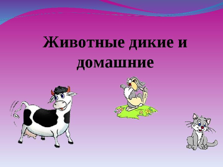 Животные дикие и домашние