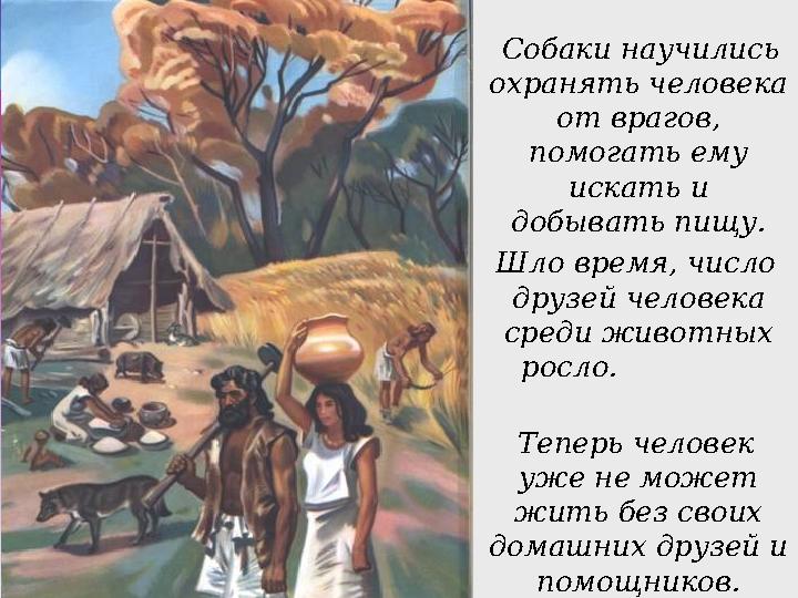  Собаки научились охранять человека от врагов, помогать ему искать и добывать пищу. Шло время, число друзей человек