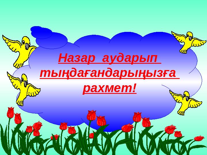 Назар аударып тыңдағандарыңызға рахмет!