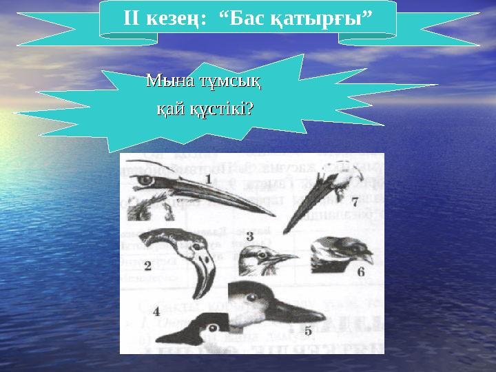 ІІ кезең: “Бас қатырғы” Мына тұмсық Мына тұмсық қай құстікі?қай құстікі?