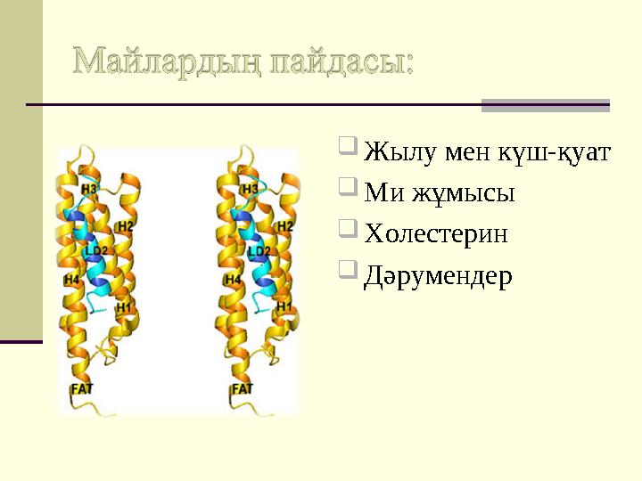 Жылу мен күш-қуат Ми жұмысы Холестерин Дәрумендер