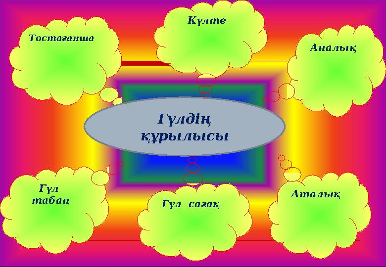 АталықГүл табанТостағанша Күлте Аналық Гүл сағақГүлдің құрылысы