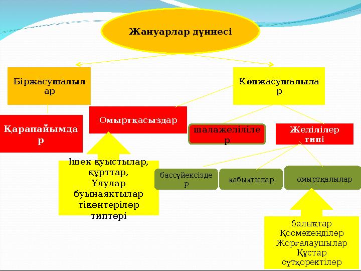 Жануарлар дүниесі Біржасушалыл ар Қарапайымда р Көпжасушалыла р Омыртқасыздар Желілілер типі қабықтылар омыртқалылар Ішек қуыст
