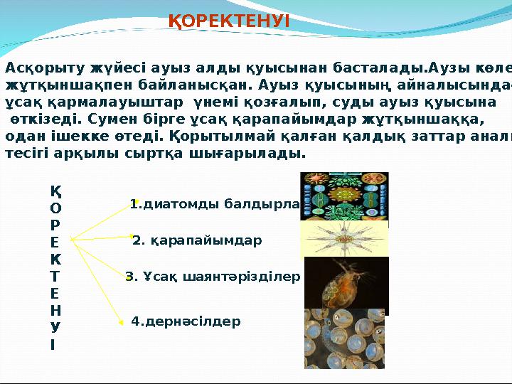 Тойдағы қалыңдықтың жыныстық қатынасын онлайн көру