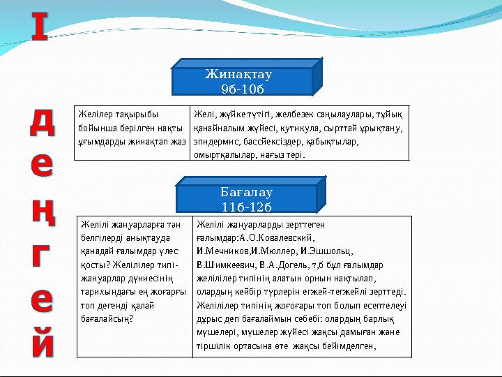 Жинақтау 9б-10б Бағалау 11б-12б Желілер тақырыбы бойынша берілген нақты ұғымдарды жинақтап жаз Желі, жүйке түтігі, желбезек