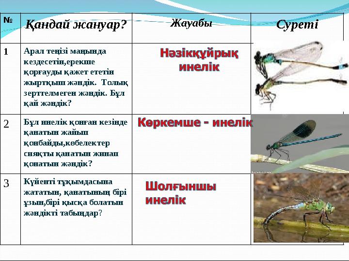 Желіде ұлы мен анасы арасындағы душтағы секс