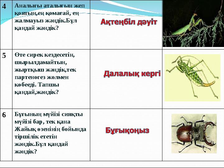 4Аналығы аталығын жеп қоятын,ең қомағай, ең жалмауыз жәндік.Бұл қандай жәндік? 5Өте сирек кездесетін, шырылдамайтын, жыртқы
