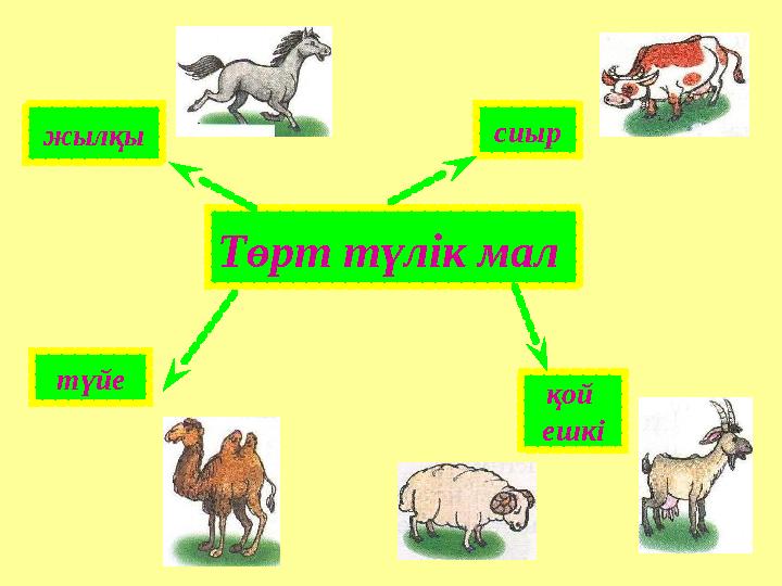 Төрт түлік суреті