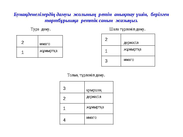 Бунақденелілердің дамуы жолының ретін анықтау үшін, берілген төртбұрышқа реттік санын жазыңыз. Тура даму. имаго жұмыртқа