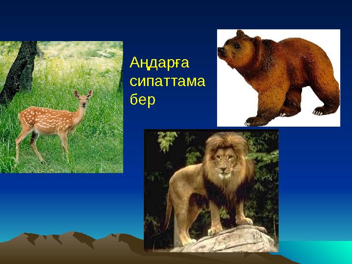 Аңдарға сипаттама бер
