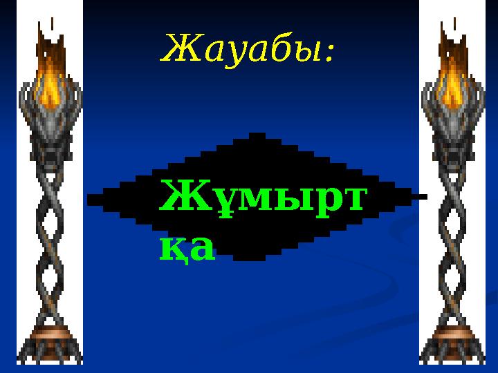 Жауабы: Жұмырт қа